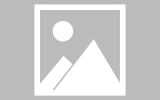 大连新区景区网站建设（in art criticism,you must assume）